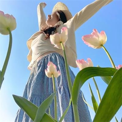 妙警贼探第六季
